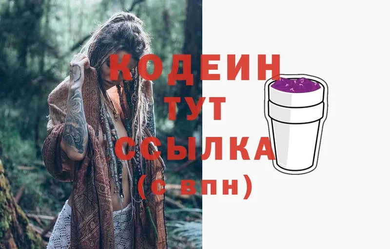 это наркотические препараты  Александровск  Кодеиновый сироп Lean Purple Drank 