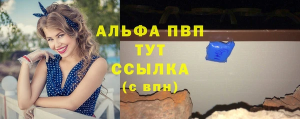 прущие грибы Новозыбков