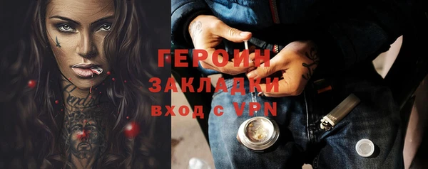 прущие грибы Новозыбков