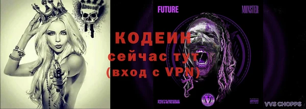 прущие грибы Новозыбков