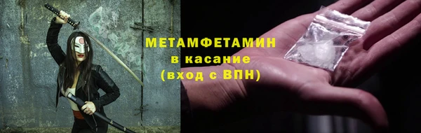 прущие грибы Новозыбков