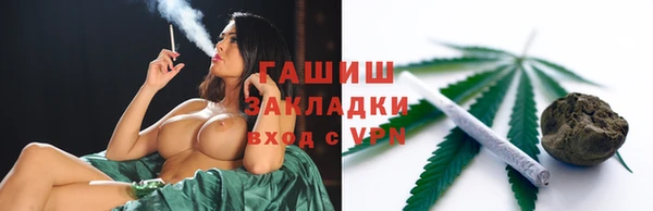 прущие грибы Новозыбков