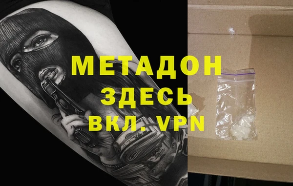 прущие грибы Новозыбков