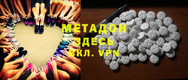 прущие грибы Новозыбков
