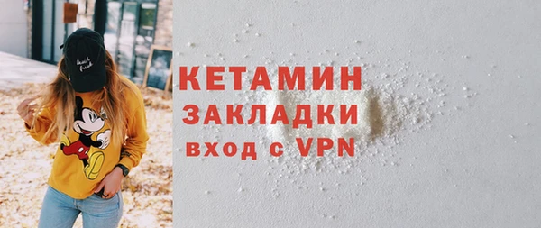 прущие грибы Новозыбков