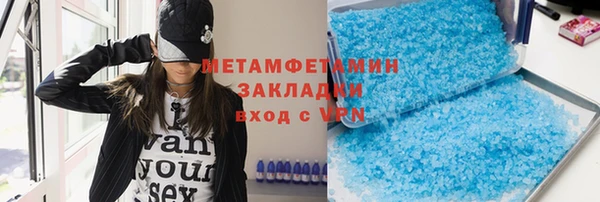 прущие грибы Новозыбков