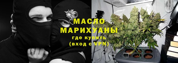прущие грибы Новозыбков