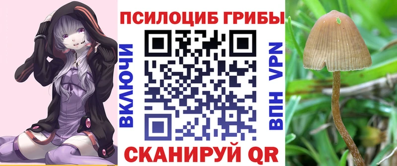 Галлюциногенные грибы MAGIC MUSHROOMS  купить наркотики сайты  Александровск 