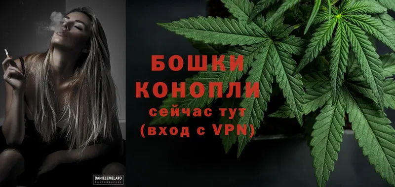 МАРИХУАНА SATIVA & INDICA  Александровск 